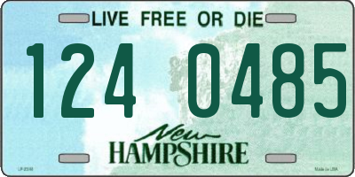NH license plate 1240485