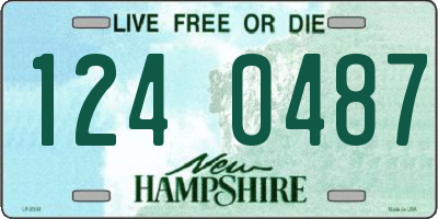 NH license plate 1240487
