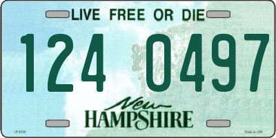 NH license plate 1240497