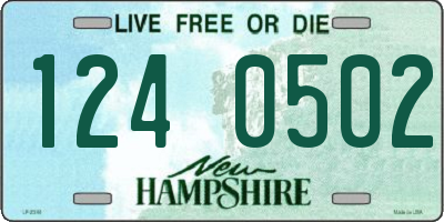 NH license plate 1240502