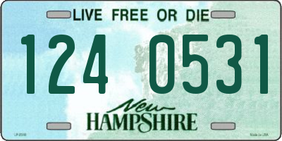 NH license plate 1240531