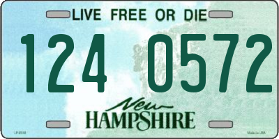 NH license plate 1240572