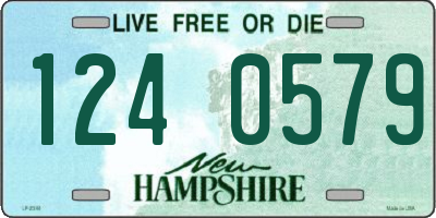 NH license plate 1240579
