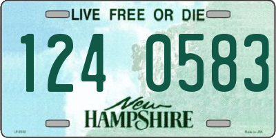 NH license plate 1240583