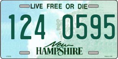 NH license plate 1240595