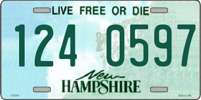 NH license plate 1240597