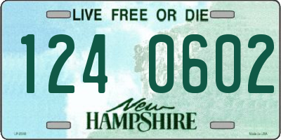 NH license plate 1240602