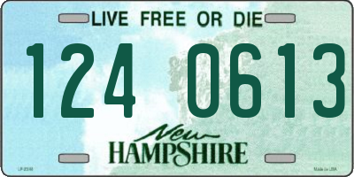 NH license plate 1240613
