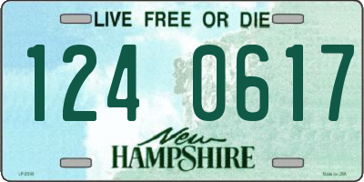 NH license plate 1240617