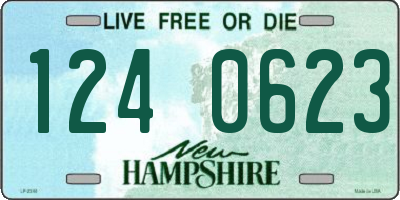 NH license plate 1240623