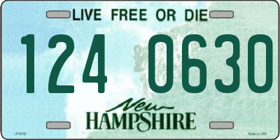 NH license plate 1240630