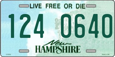 NH license plate 1240640