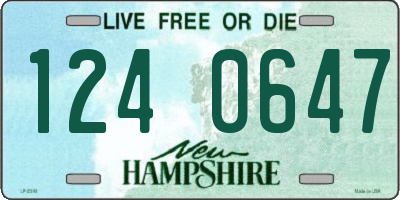 NH license plate 1240647