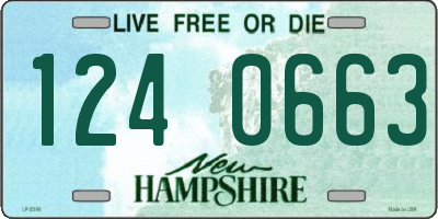 NH license plate 1240663