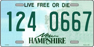 NH license plate 1240667