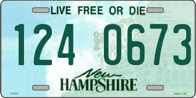 NH license plate 1240673