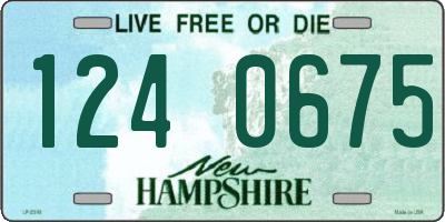 NH license plate 1240675