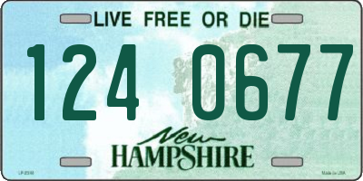 NH license plate 1240677
