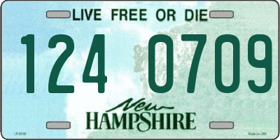 NH license plate 1240709
