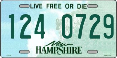 NH license plate 1240729