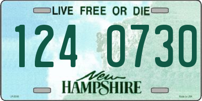 NH license plate 1240730