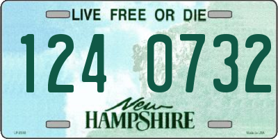 NH license plate 1240732