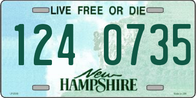 NH license plate 1240735