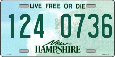 NH license plate 1240736