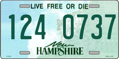 NH license plate 1240737