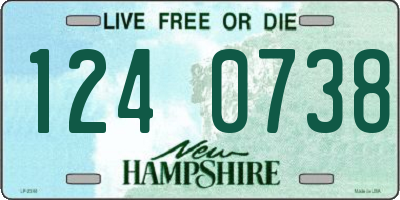 NH license plate 1240738