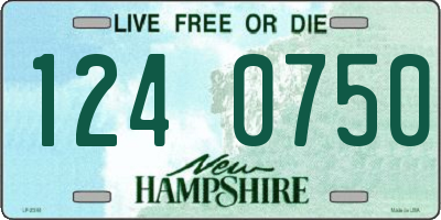 NH license plate 1240750