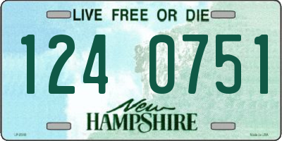 NH license plate 1240751