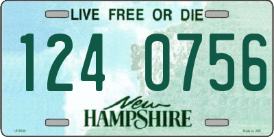 NH license plate 1240756