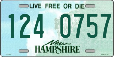 NH license plate 1240757