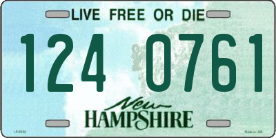 NH license plate 1240761