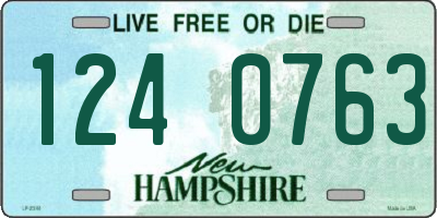 NH license plate 1240763