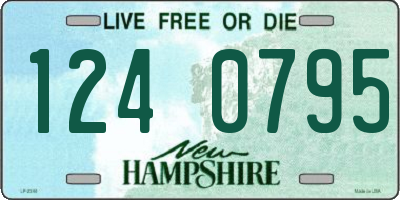 NH license plate 1240795
