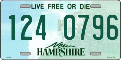 NH license plate 1240796
