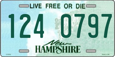 NH license plate 1240797