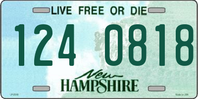 NH license plate 1240818