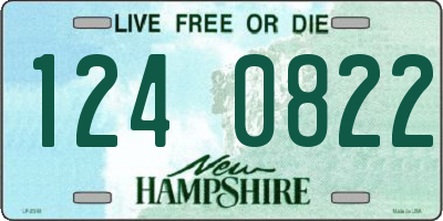 NH license plate 1240822