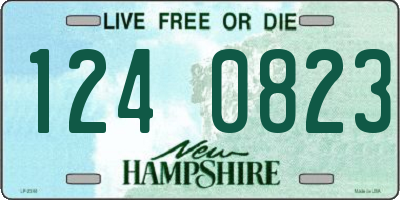 NH license plate 1240823
