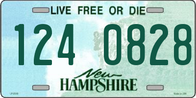 NH license plate 1240828