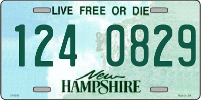 NH license plate 1240829