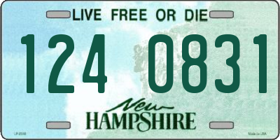 NH license plate 1240831