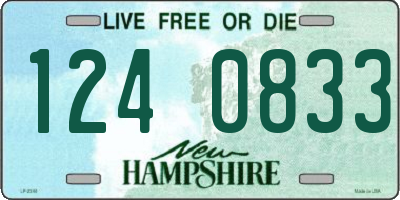 NH license plate 1240833