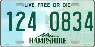 NH license plate 1240834