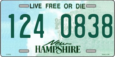NH license plate 1240838