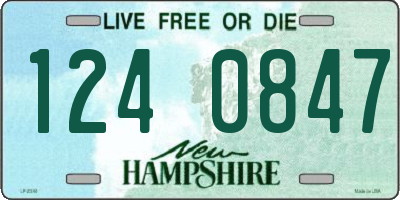 NH license plate 1240847