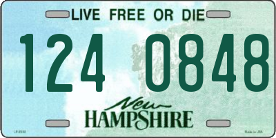 NH license plate 1240848